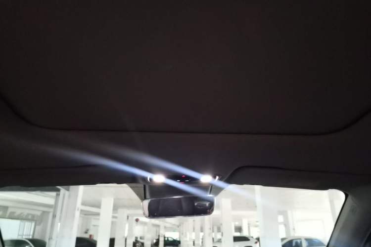 Used Leapmotor C11  Headliner