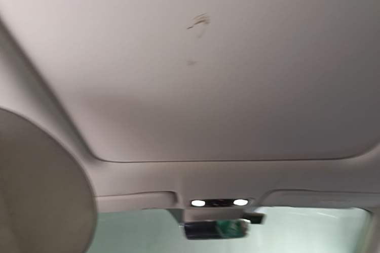 Used Leapmotor C11 2021 Luxury Edition Headliner