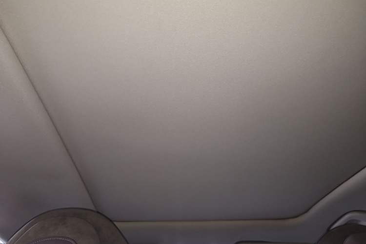 Used Leapmotor C11 2021 Luxury Edition Headliner