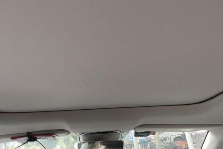 Used Leapmotor C11 2021 Luxury Edition Headliner