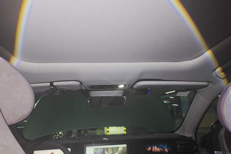 Used Leapmotor C11 2021 Deluxe Edition Headliner
