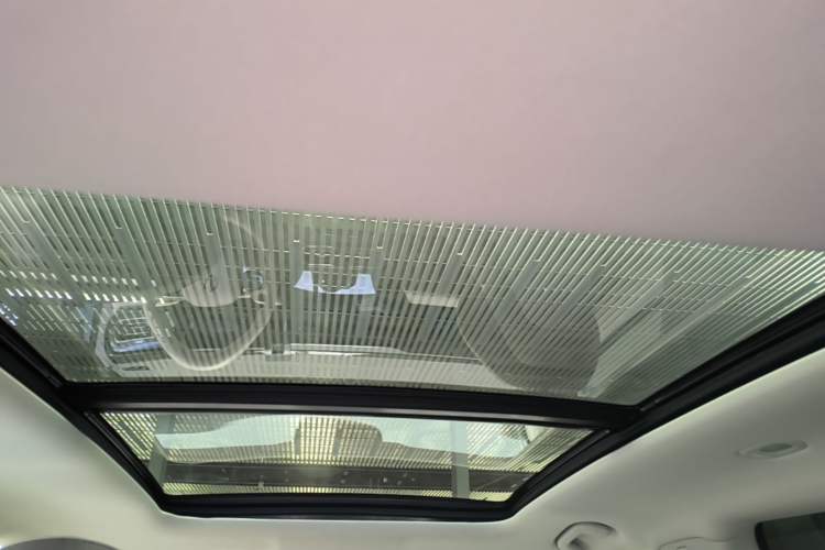 Used Leapmotor C11 2021 Luxury Edition Headliner