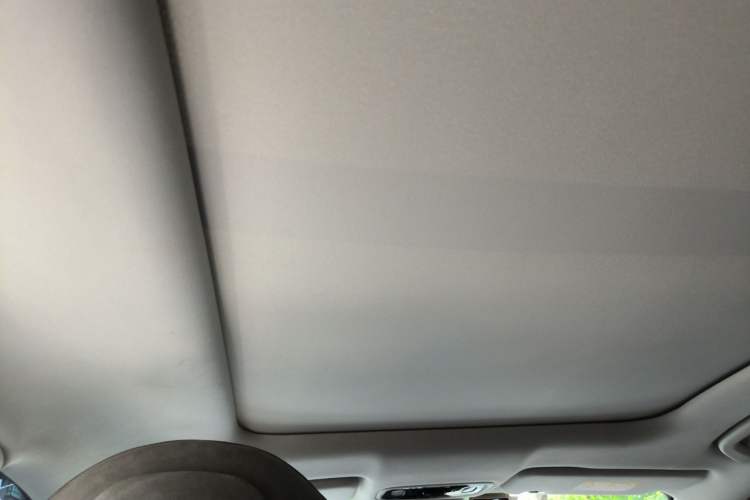 Used Leapmotor C11 2021 Revised Version Luxury Edition Headliner