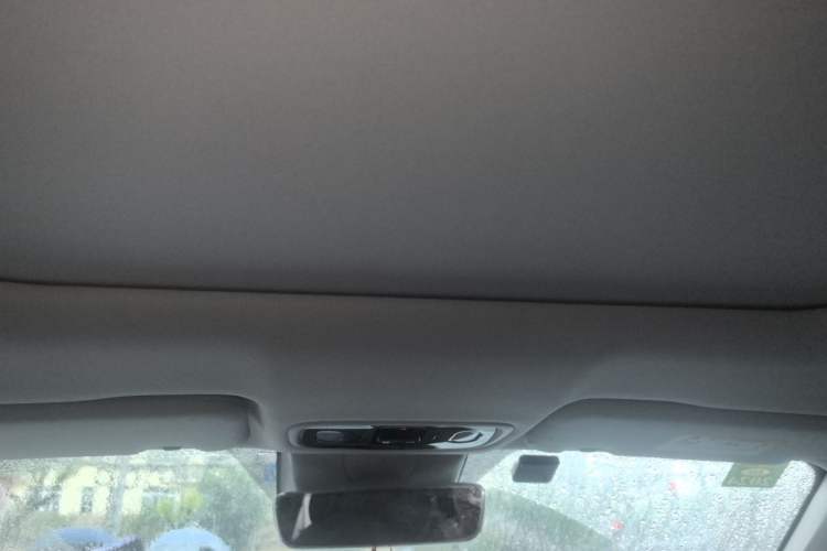 Used Leapmotor C11 2021 Revised Version Luxury Edition Headliner