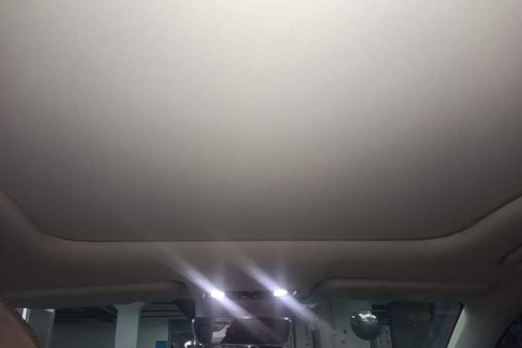 Used Leapmotor C11 2021 Performance Edition Headliner