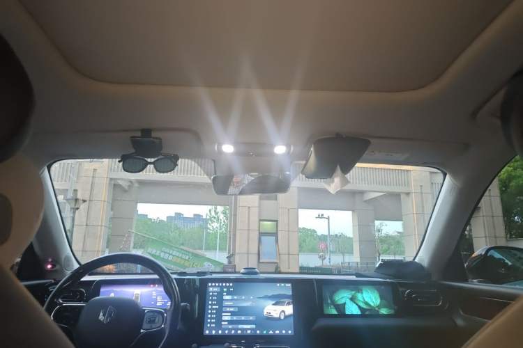 Used Leapmotor C11 2021 Luxury Edition Headliner