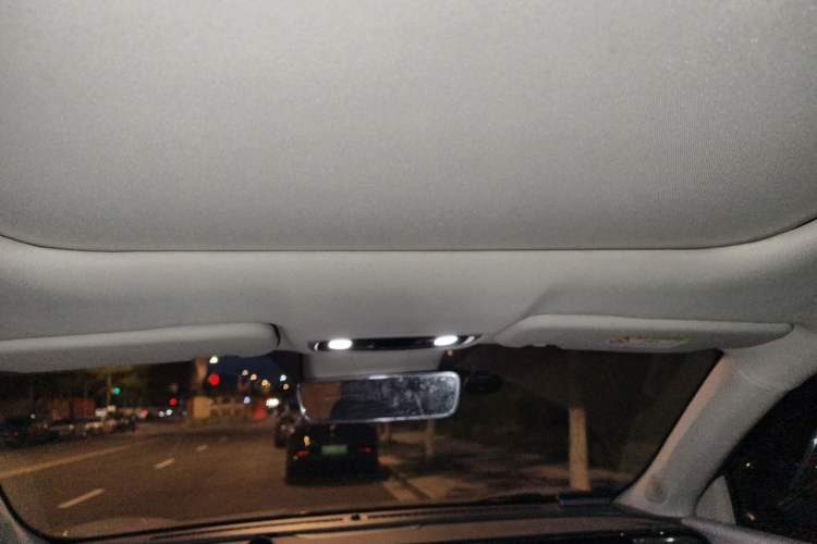 Used Leapmotor C11 2021 Revised Version Luxury Edition Headliner