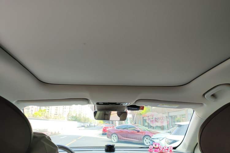 Used Leapmotor C11 2021 Luxury Edition Headliner