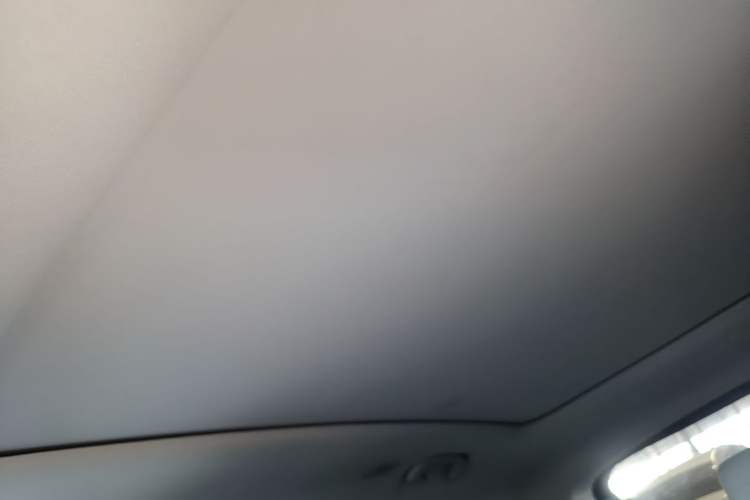 Used Leapmotor C11 2021 Deluxe Edition Headliner