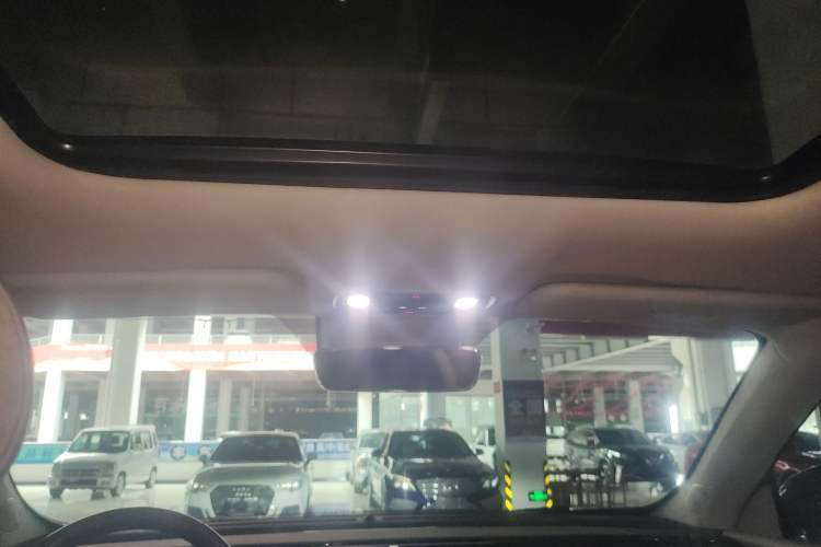 Used Leapmotor C11 2021 Luxury Edition Headliner