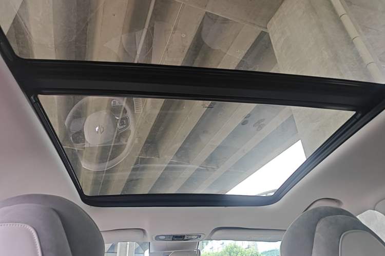 Used Leapmotor C11 2021 Deluxe Edition Headliner