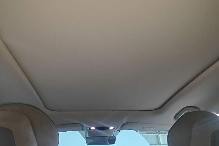 Used Leapmotor C11 2021 Zhixing Edition 510 Headliner