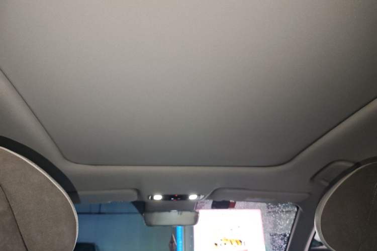 Used Leapmotor C11 2021 Deluxe Edition Headliner