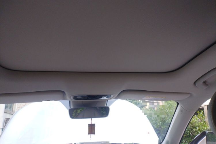 Used Leapmotor C11 2021 Luxury Edition Headliner