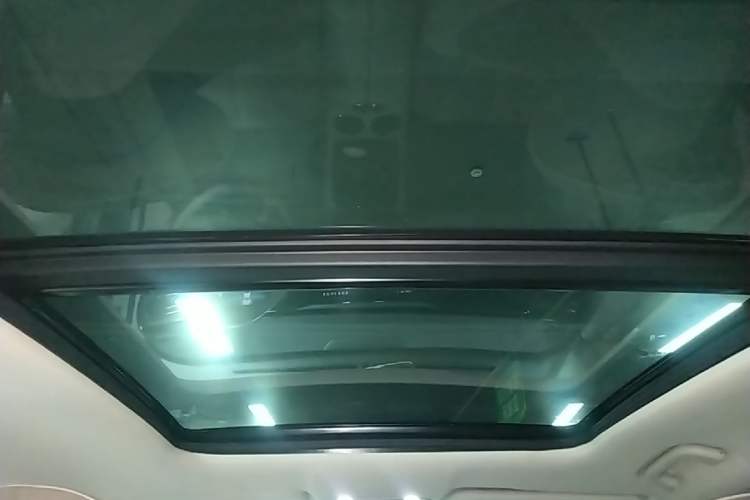Used Leapmotor C11 2021 Luxury Edition Headliner