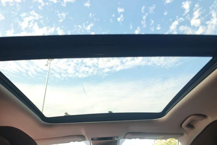 Used Leapmotor C11 2021 Performance Edition Headliner