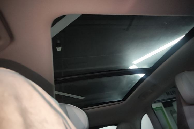 Used Leapmotor C11 2021 Deluxe Edition Headliner