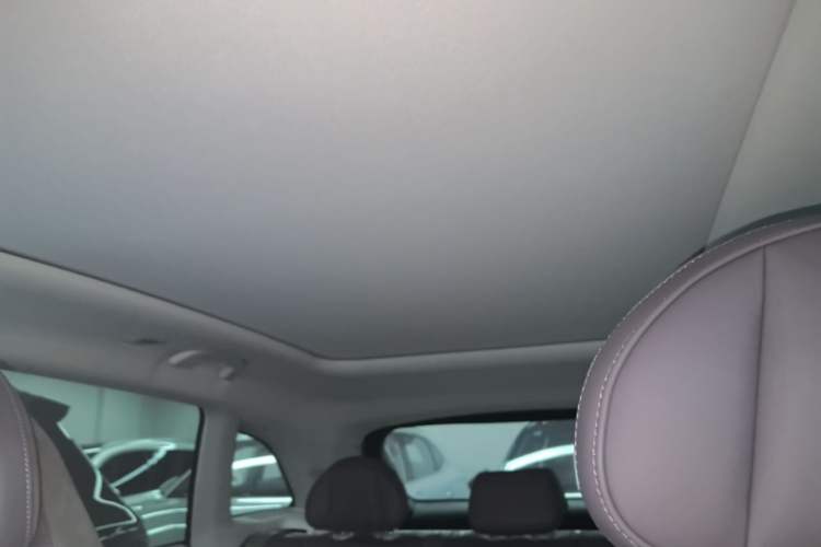 Used Leapmotor C11 2021 Deluxe Edition Headliner
