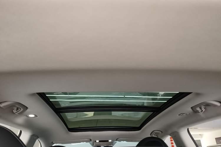 Used Leapmotor C11 2021 Performance Edition Headliner