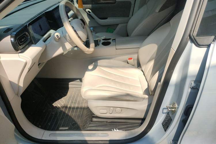 Used Leapmotor C11 2021 Luxury Edition Left Front Seat