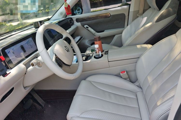 Used Leapmotor C11 2021 Luxury Edition Left Front Seat