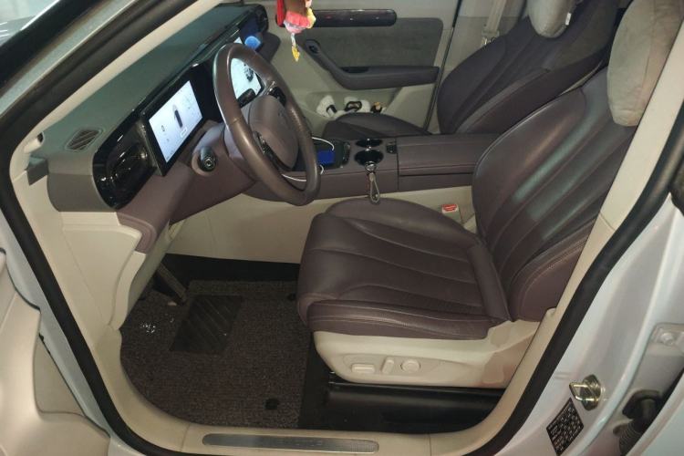 Used Leapmotor C11 2021 Luxury Edition Left Front Seat