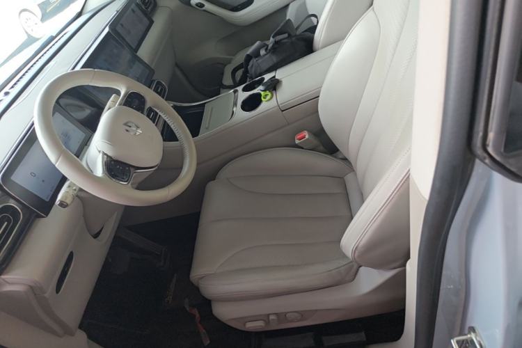 Used Leapmotor C11 2021 Luxury Edition Left Front Seat