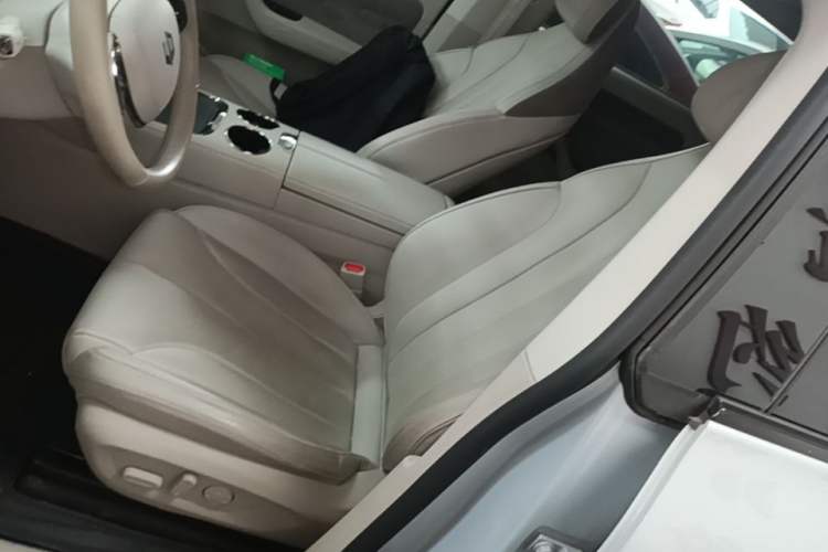 Used Leapmotor C11 2021 Luxury Edition Left Front Seat
