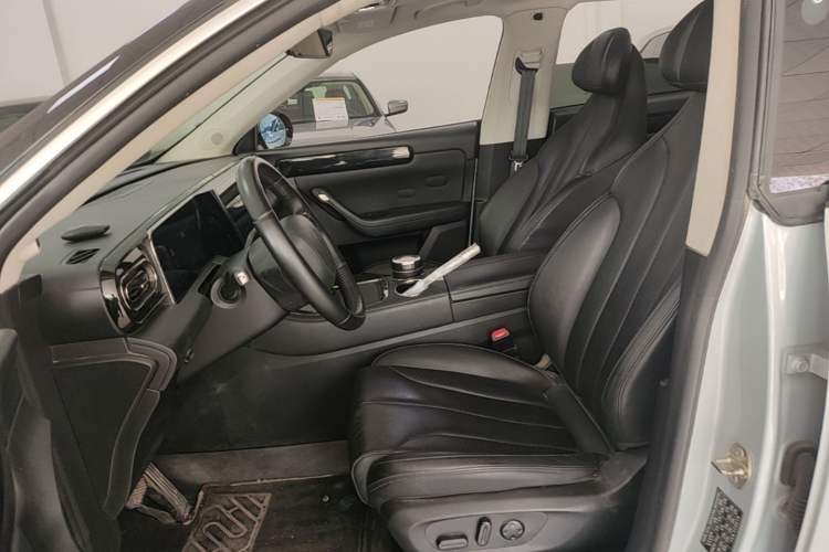 Used Leapmotor C11 2021 Luxury Edition Left Front Seat