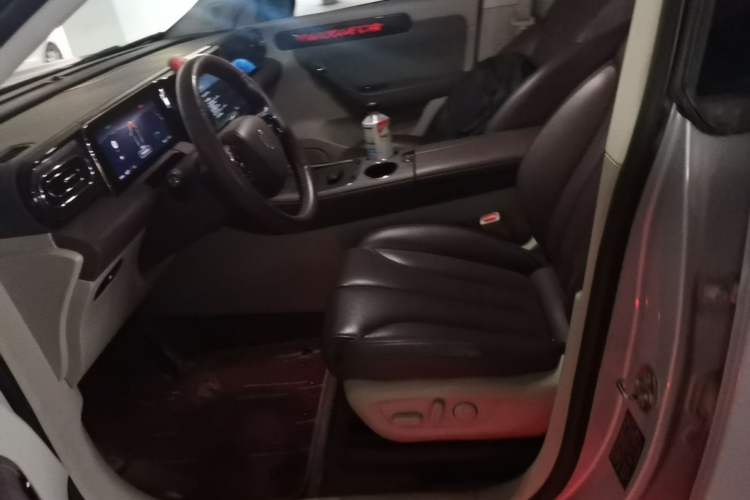 Used Leapmotor C11  Left Front Seat