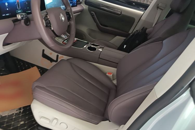Used Leapmotor C11 2021 Luxury Edition Left Front Seat