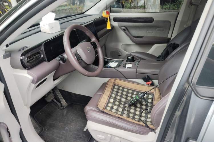 Used Leapmotor C11 2021 Luxury Edition Left Front Seat