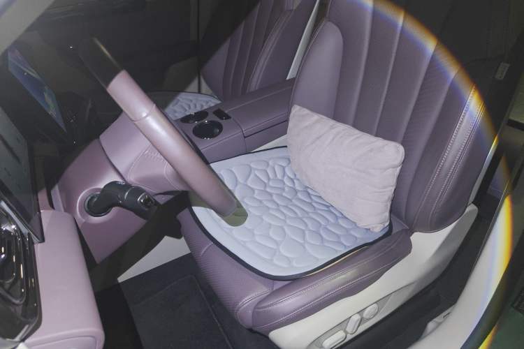 Used Leapmotor C11 2021 Deluxe Edition Left Front Seat
