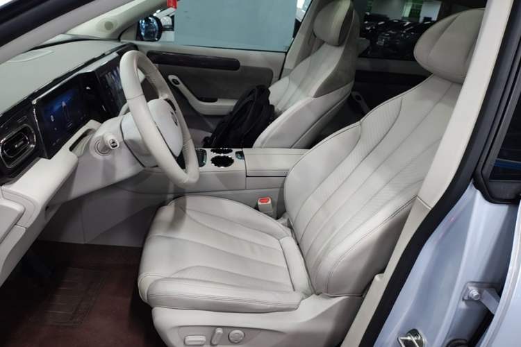 Used Leapmotor C11 2021 Revised Version Luxury Edition Left Front Seat