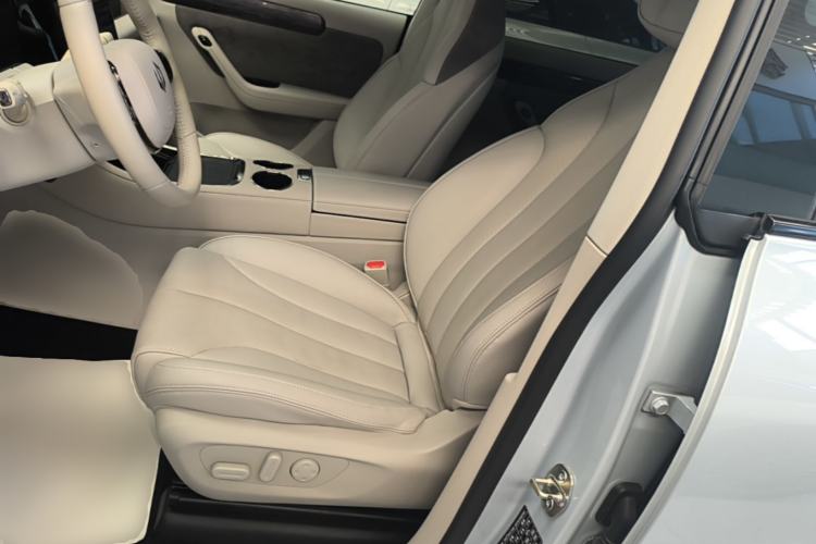 Used Leapmotor C11 2021 Luxury Edition Left Front Seat