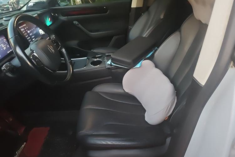 Used Leapmotor C11 2021 Luxury Edition Left Front Seat