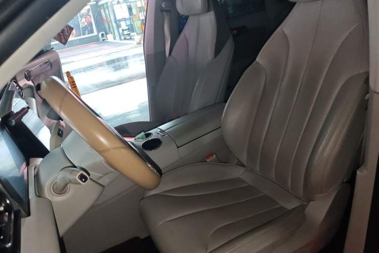 Used Leapmotor C11 2021 Deluxe Edition Left Front Seat