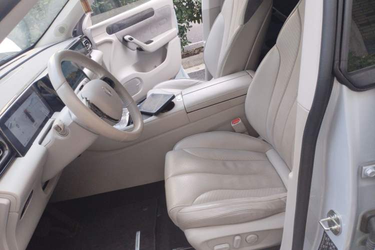 Used Leapmotor C11 2021 Luxury Edition Left Front Seat