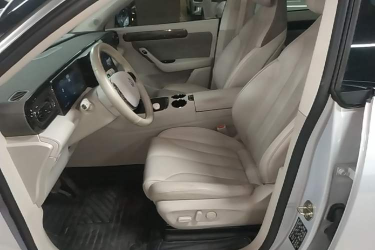 Used Leapmotor C11 2021 Luxury Edition Left Front Seat