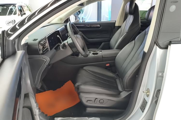 Used Leapmotor C11 2021 Performance Edition Left Front Seat