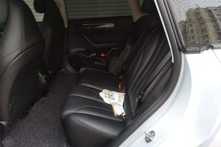 Used Leapmotor C11 2021 Luxury Edition Left Rear Seat