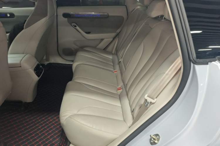 Used Leapmotor C11 2021 Executive Edition 610 Left Rear Seat