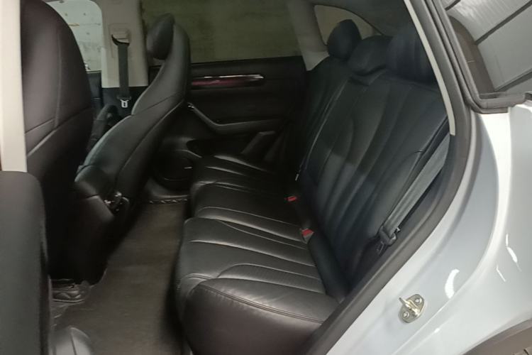 Used Leapmotor C11 2021 Revised Version Luxury Edition Left Rear Seat