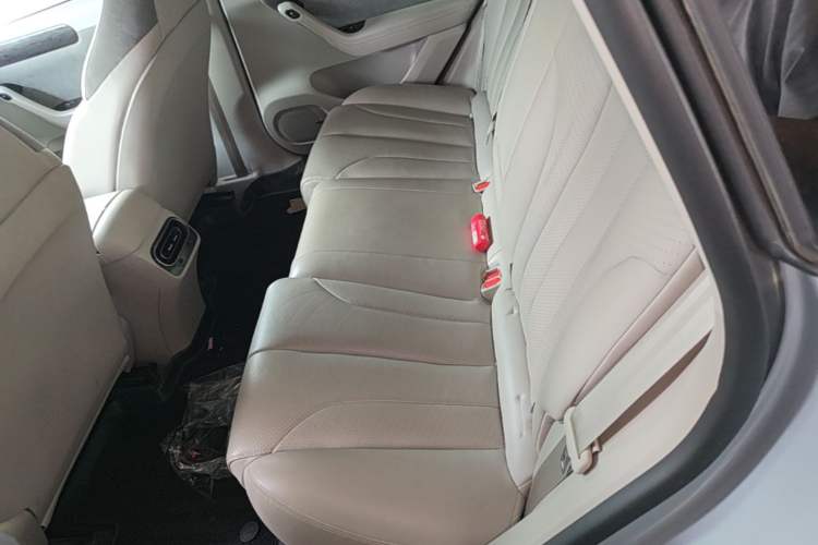 Used Leapmotor C11 2021 Luxury Edition Left Rear Seat