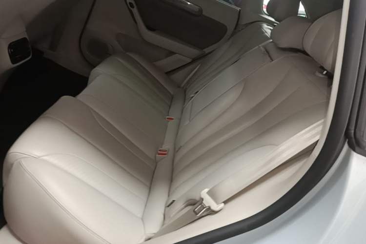 Used Leapmotor C11 2021 Luxury Edition Left Rear Seat