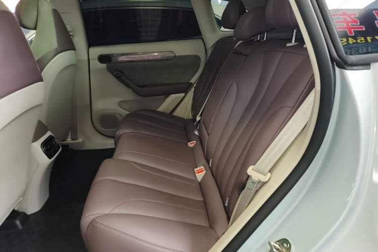 Used Leapmotor C11 2021 Revised Version Luxury Edition Left Rear Seat