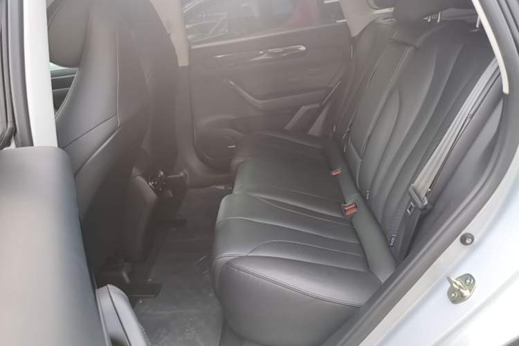 Used Leapmotor C11 2021 Deluxe Edition Left Rear Seat