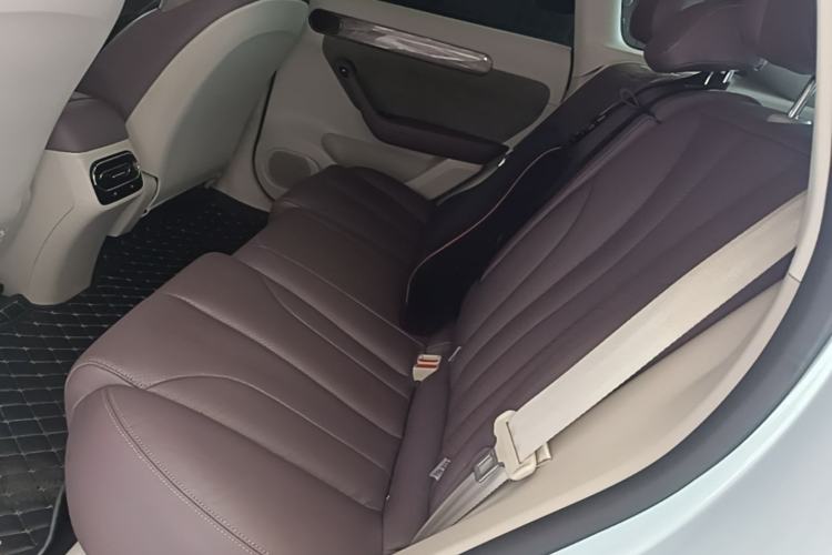Used Leapmotor C11 2021 Luxury Edition Left Rear Seat