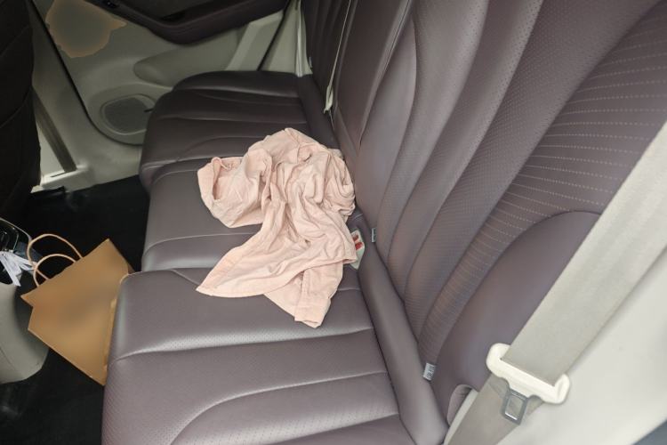 Used Leapmotor C11 2021 Luxury Edition Left Rear Seat