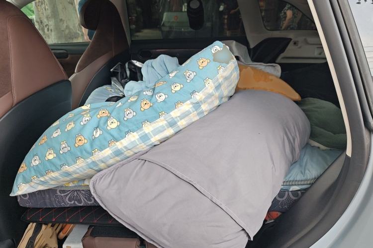 Used Leapmotor C11 2021 Deluxe Edition Left Rear Seat